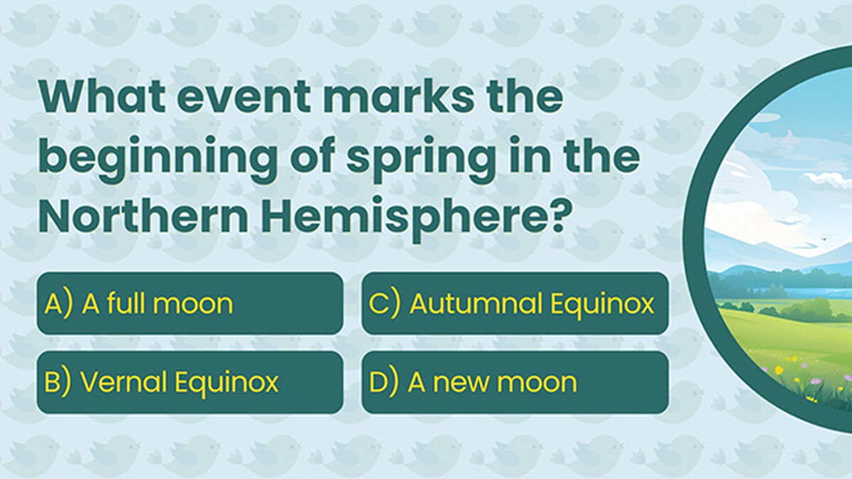 Spring Trivia image number null